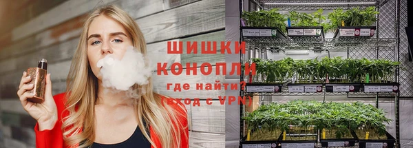 гашик Чегем